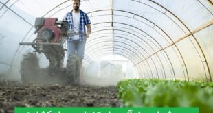 شرط معدل در استخدام جهاد کشاورزی
