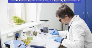 از مهندسی پزشکی به چه رشته هایی میتوان رفت