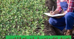 ادامه تحصیل با دیپلم کشاورزی